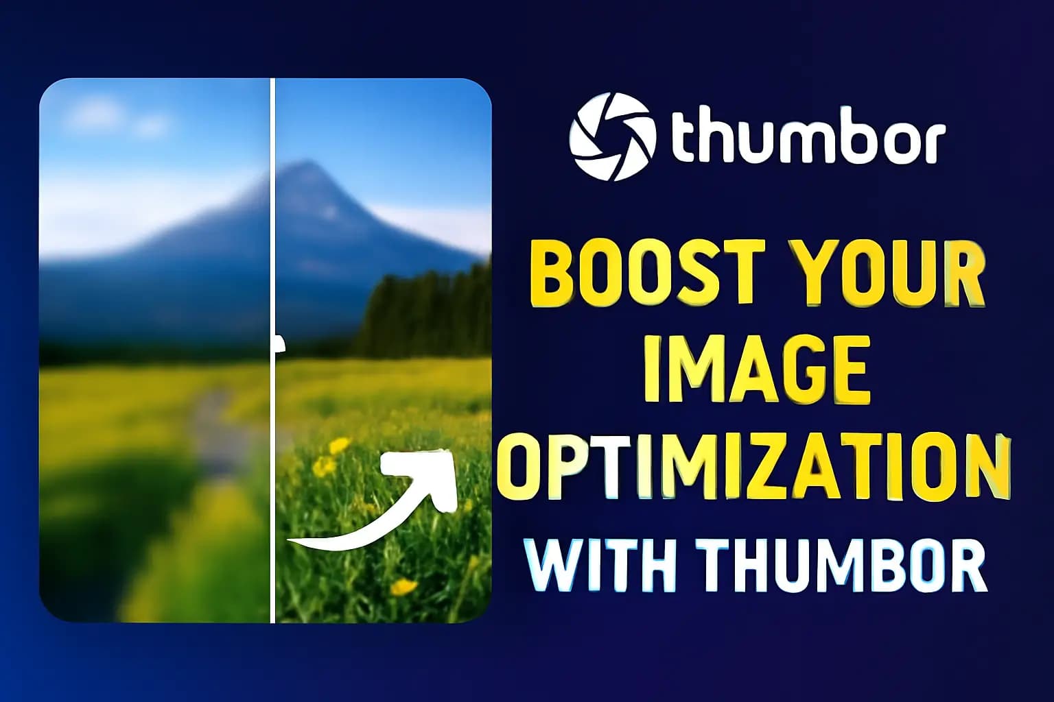 Why I Ditched Cloudinary for a Free, Self-Hosted in a Single click